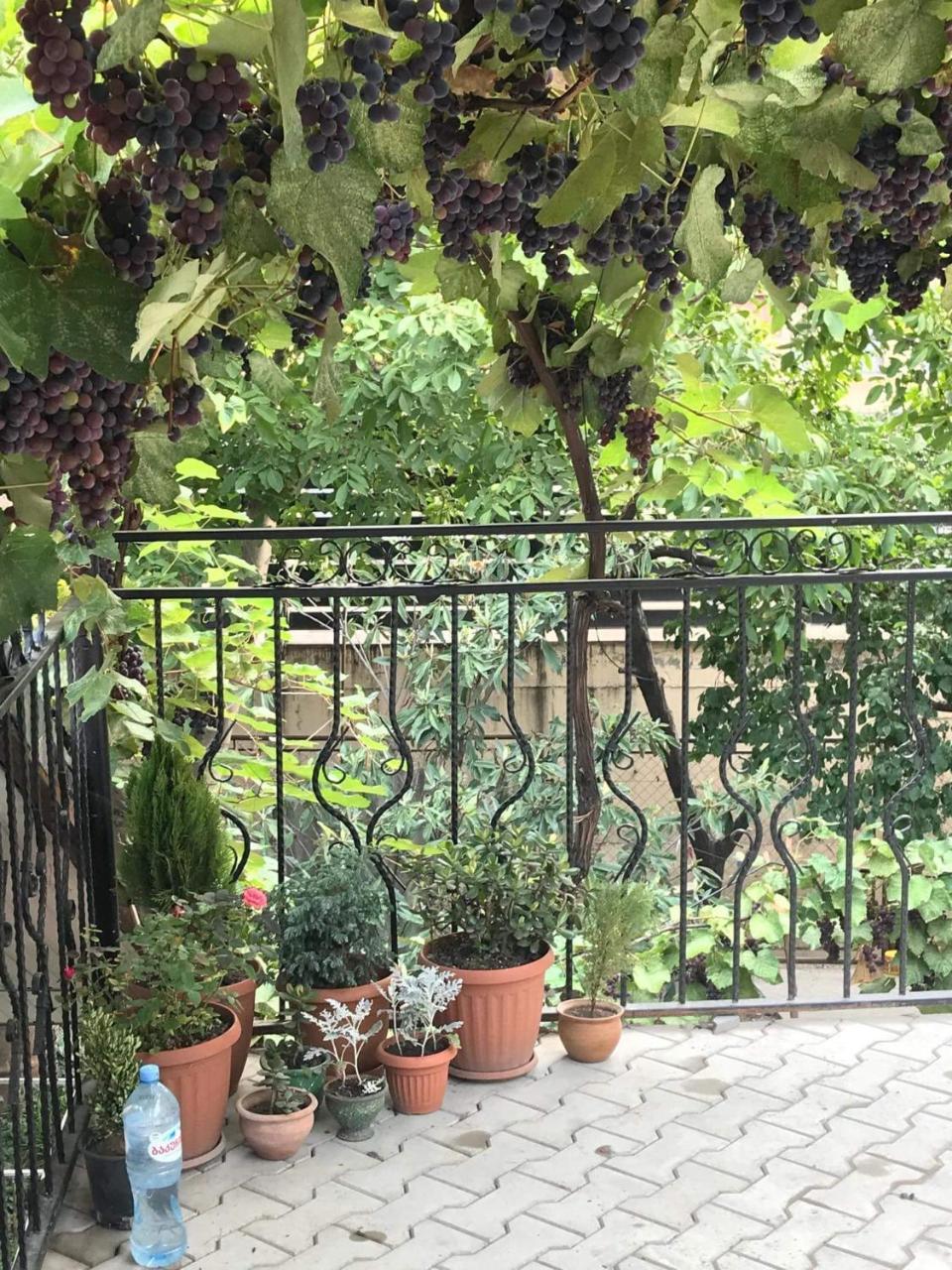 Nino'S Guest House Tbilisi Bagian luar foto
